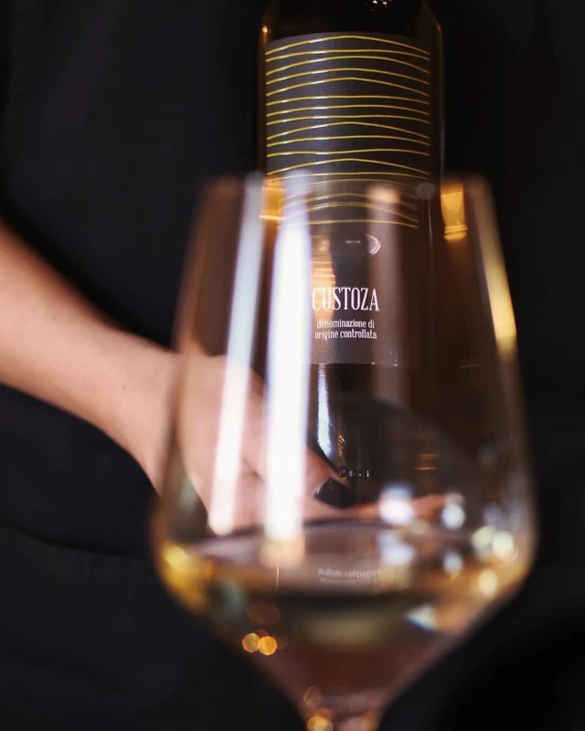 Tra Storia e Futuro: Degustazione Vini e Light Lunch/Dinner sulle Colline del Garda